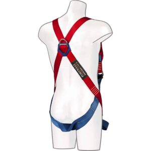 Portwest FP13 2 Point comfort harness rear