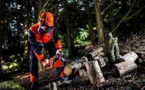 Portwest Forestry Kit